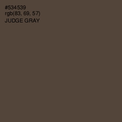 #534539 - Judge Gray Color Image